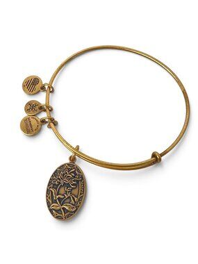 Alex and Ani Sister Charm Bracelet Gold Finish - Expands 2"- 3.5"
